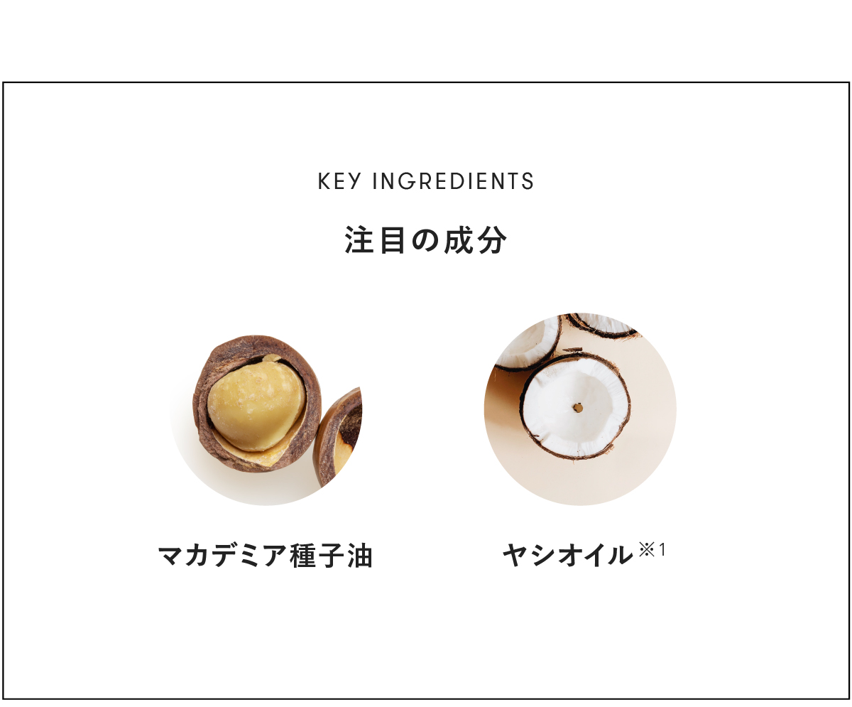 KEY INGREDIENTS